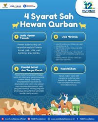 Perlu Diketahui! Kriteria Hewan Qurban yang Sah Sesuai Syariat Islam