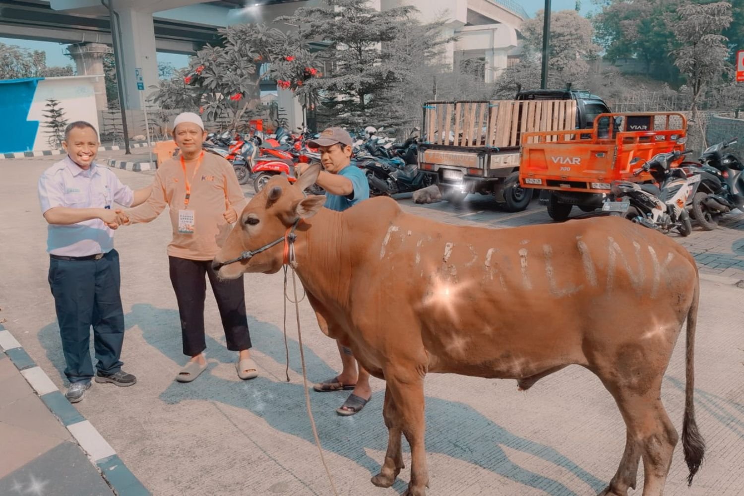 KAI Bandara Luncurkan Diskon Tiket Hingga 20% Serta Distribusikan Hewan Kurban di Empat Kota Lewat Program TJSL