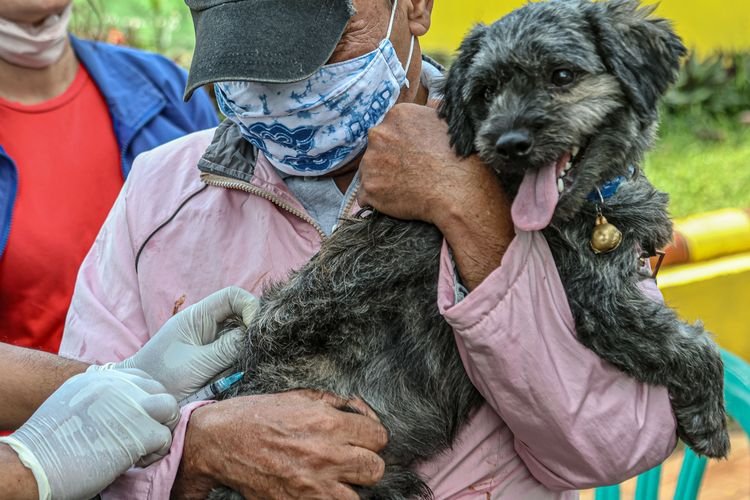 Video Viral Siksaan Anjing: Kapolres Sragen Beri Keterangan, Pelaku Minta Maaf