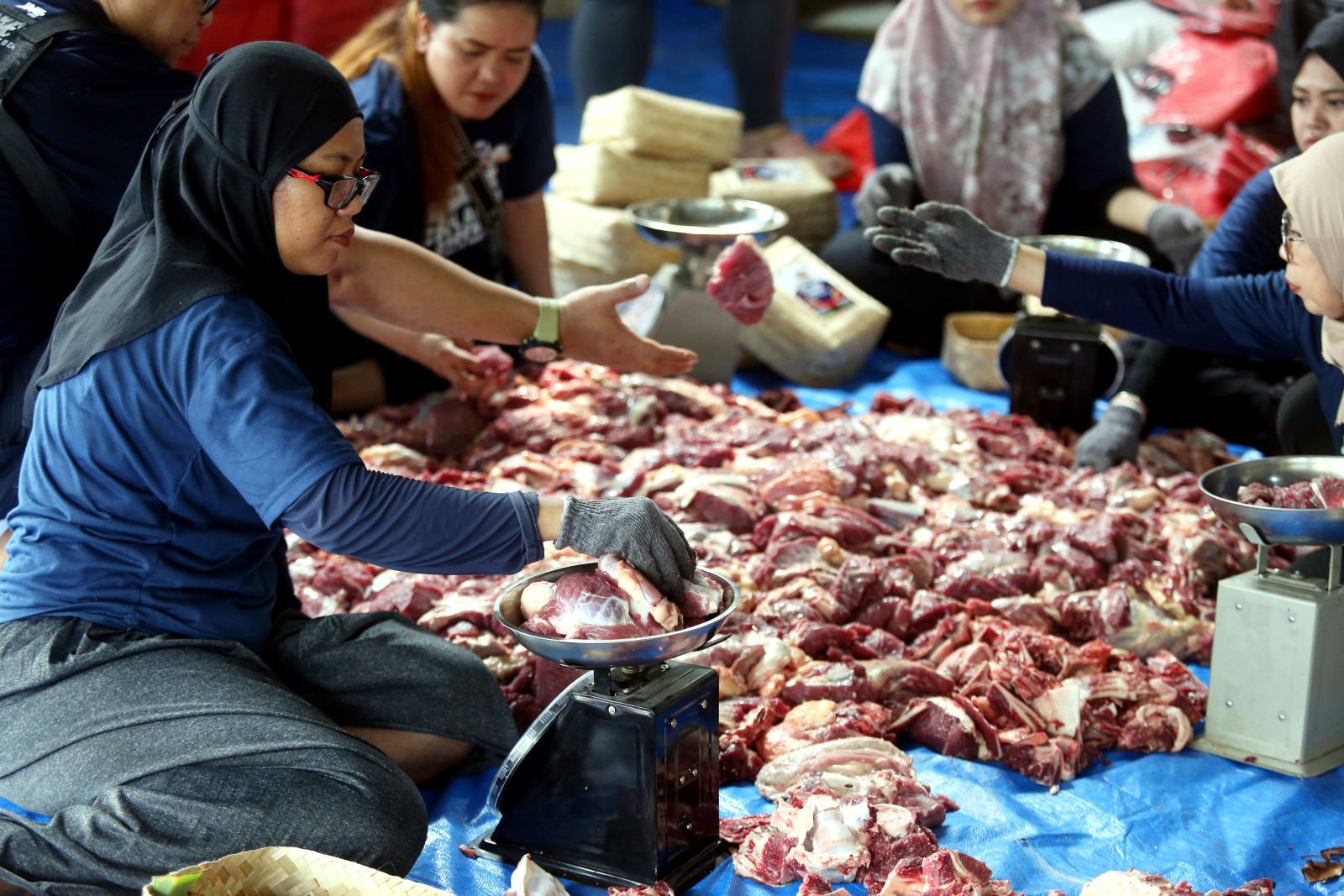 Pertamina Patra Niaga Berbagi 833 Hewan Qurban ke Ribuan Dana Orah di Seluruh Indonesia