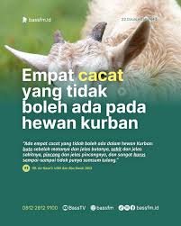 Perlu Diketahui! 4 Kekurangan pada Hewan Kurban yang Tak Sah Menurut Hadis Nabi
