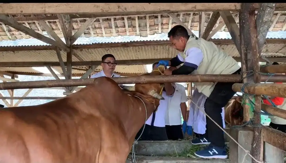 Disnakeswan Lebak Siapkan Pengawasan untuk 4.473 Hewan Qurban Sebelum Idul Adha 2025