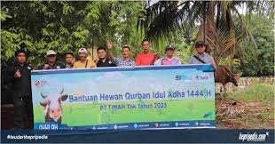 PT Timah Dorong Naiknya CSR dengan Pembagian 256 Hewan Qurban Idul Adha