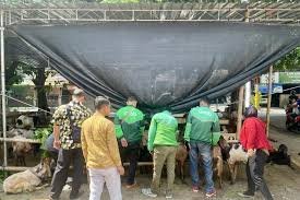 Grab Sambut Idul Adha dengan Berbagi Ratusan Kambing pada Mitra Pengemudinya