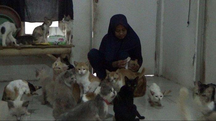 Perempuan Tukang Ojek di Jember Rawat Puluhan Kucing Liar